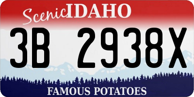 ID license plate 3B2938X