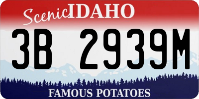 ID license plate 3B2939M