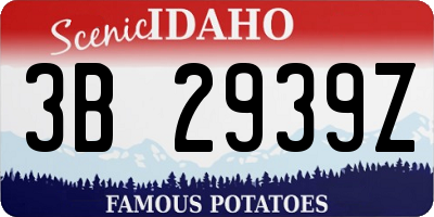 ID license plate 3B2939Z