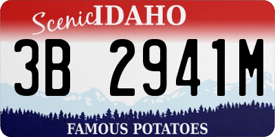 ID license plate 3B2941M
