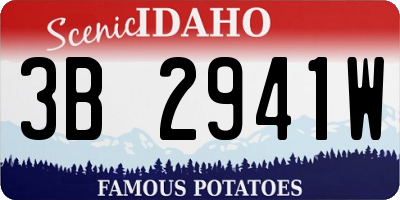 ID license plate 3B2941W