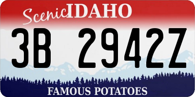 ID license plate 3B2942Z
