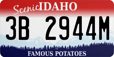 ID license plate 3B2944M