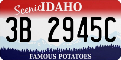 ID license plate 3B2945C
