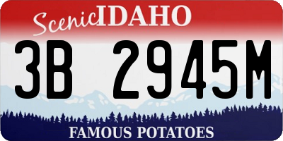 ID license plate 3B2945M