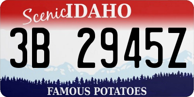ID license plate 3B2945Z