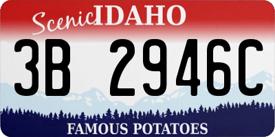 ID license plate 3B2946C