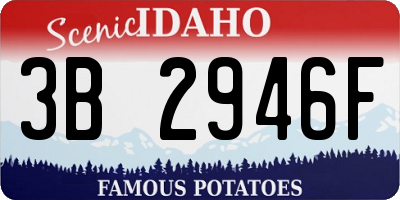 ID license plate 3B2946F