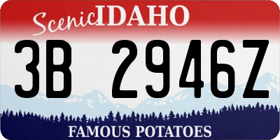 ID license plate 3B2946Z
