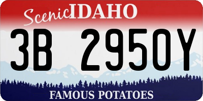 ID license plate 3B2950Y