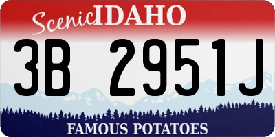 ID license plate 3B2951J