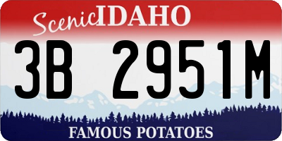 ID license plate 3B2951M
