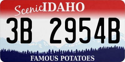 ID license plate 3B2954B