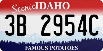 ID license plate 3B2954C
