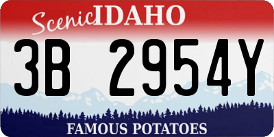 ID license plate 3B2954Y