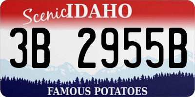 ID license plate 3B2955B