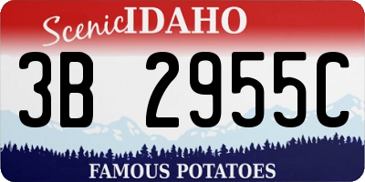 ID license plate 3B2955C