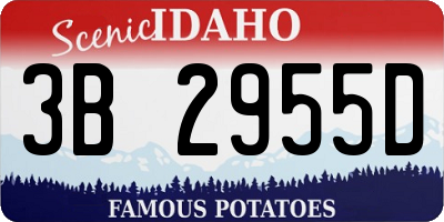 ID license plate 3B2955D