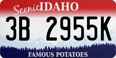 ID license plate 3B2955K