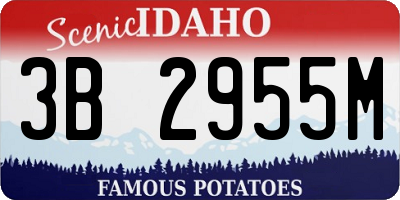 ID license plate 3B2955M