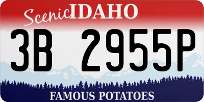 ID license plate 3B2955P