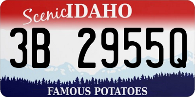 ID license plate 3B2955Q