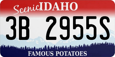 ID license plate 3B2955S