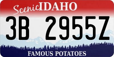 ID license plate 3B2955Z