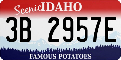 ID license plate 3B2957E