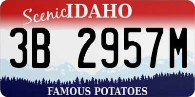 ID license plate 3B2957M