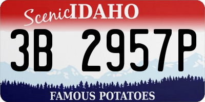 ID license plate 3B2957P