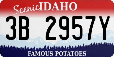 ID license plate 3B2957Y
