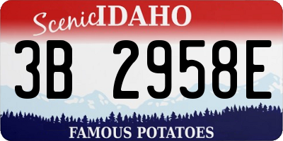 ID license plate 3B2958E