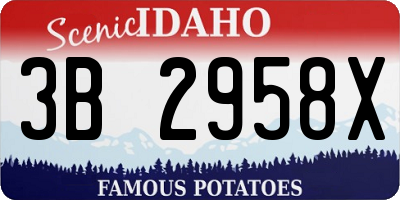 ID license plate 3B2958X