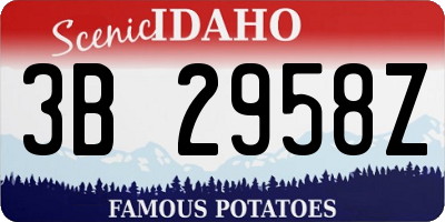 ID license plate 3B2958Z
