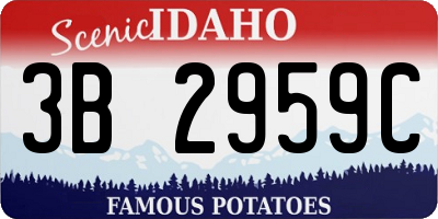 ID license plate 3B2959C