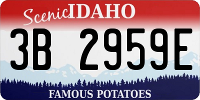 ID license plate 3B2959E
