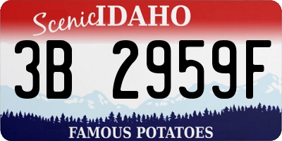 ID license plate 3B2959F