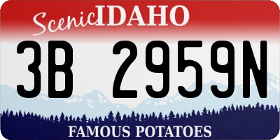 ID license plate 3B2959N