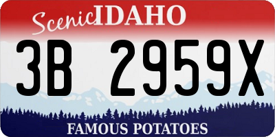 ID license plate 3B2959X
