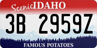 ID license plate 3B2959Z