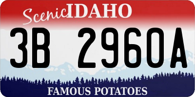 ID license plate 3B2960A