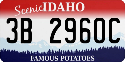 ID license plate 3B2960C