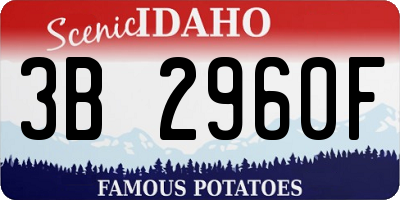 ID license plate 3B2960F