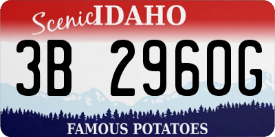 ID license plate 3B2960G