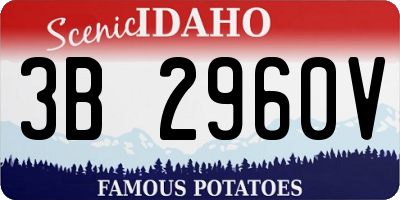 ID license plate 3B2960V
