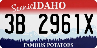 ID license plate 3B2961X