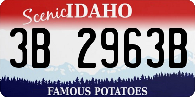 ID license plate 3B2963B