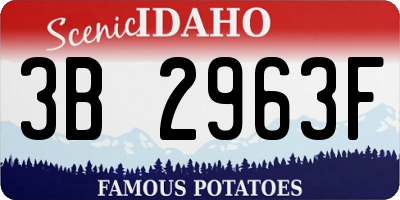 ID license plate 3B2963F