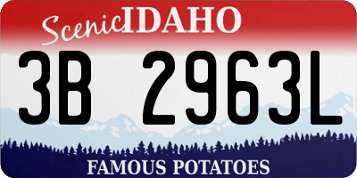 ID license plate 3B2963L
